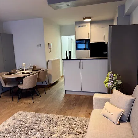 Apartment Seacast 2 Slaapkamers Met Zeezicht En Terras - In Centrum Gelegen - 100 M Het *